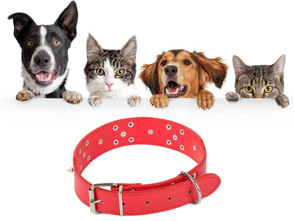 Studded dog collar eco leather adjustable xl