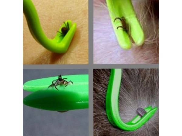 Tick removal hooks paws 2 pcs