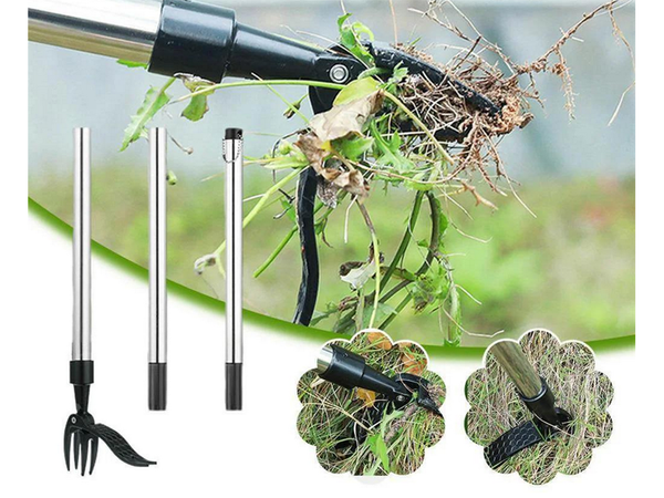 Weed puller extractor extractor tool