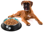 Anti-slip metal dog bowl large 1l