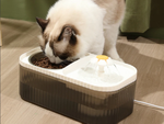 Automatic cat drinker dog water fountain filter food bowl