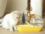 Automatic drinker for cat dog water fountain filter drinker bowl snail