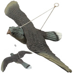 Bird deterrent starlings pigeons rodents falcon