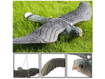 Bird deterrent starlings pigeons rodents falcon