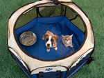 Collapsible dog pen pet bed cat cage large kennel lightweight