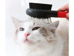 Dog hair brush cat soft double-sided