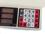 Electronic calculating store weights 40kg 2g