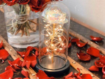 Everlasting rose in glass gift led luminous glass box for the occasion of women