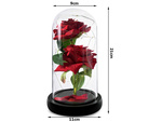 Everlasting rose in glass luminous led rgb gift for occasion for women red