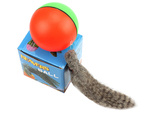 Ferret running ball runaway cat toy