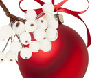 Frosted rowan white christmas decoration 5 pcs