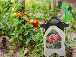 Garden waterring hose on a stand with a coiled spray gun 10m