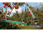 Hand pruner for shrub branches long anvil pruner