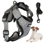 Harness for dog walk light soft strong l