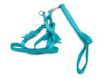 Harness leash for dog cat rabbit p1