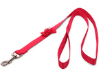 Harness leash for dog cat rabbit p1