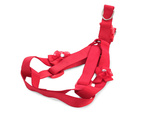 Harness leash for dog cat rabbit p1