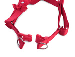 Harness leash for dog cat rabbit p1