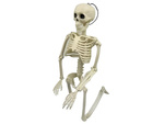 Human skeleton hanging 40cm halloween decoration artificial skeleton