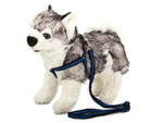 Lanyard with extendable shelters dog-cat 125cm