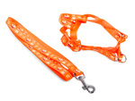 Lanyard with restrainers dog-cat harness sturdy 125cm