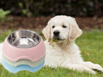 Metal dog bowl with removable insert 350ml