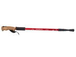 Nordic walking cork walking stick