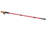 Nordic walking cork walking stick