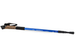 Nordic walking pole trekking pole