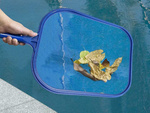 Pool cleaning net collector pick up