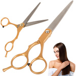 Professional hairdressing scissors