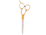 Professional hairdressing scissors