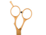 Professional hairdressing scissors