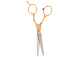 Professional hairdressing scissors