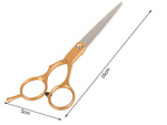 Professional hairdressing scissors