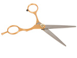 Professional hairdressing scissors