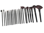 Set of 24 professional make-up brushes case