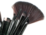 Set of 24 professional make-up brushes case