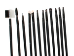 Set of 24 professional make-up brushes case