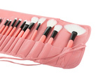 Set of professional make-up brushes 24 pieces