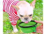 Silicone folding bowl for dog travel 0.4 l