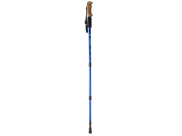 Nordic walking korgist jalutuskepp