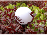 4x rgb solar garden ball lamp 10 cm