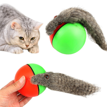 Furet balle de course jouet chat fugueur