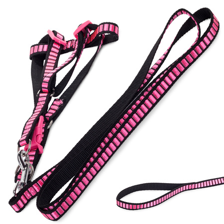 Lanyard avec harmesses bande chien-chat strong 1.5cm