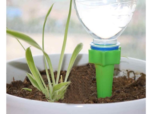 Bouteille plante pot irrigateur