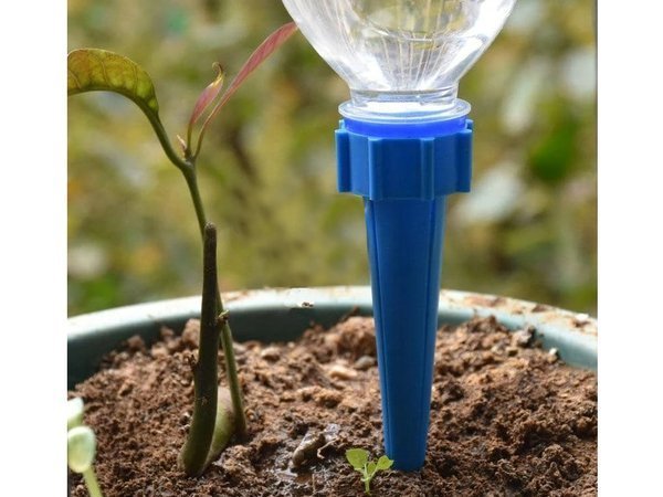 Bouteille plante pot irrigateur