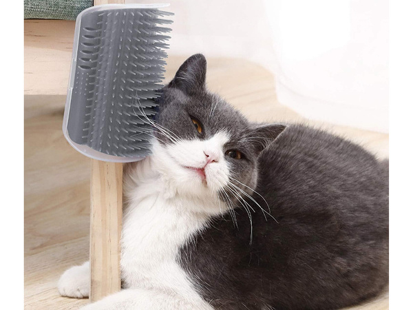 Brosse à griffer pour chat coin griffoir pour chat herbe à chat griffoir pour chat