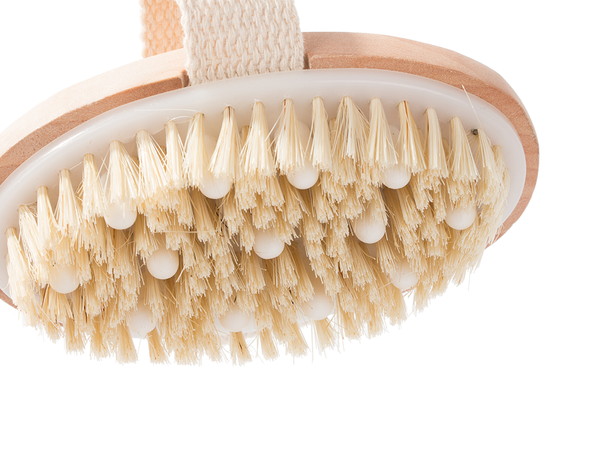 Brosse de massage humide et sec pour le dos