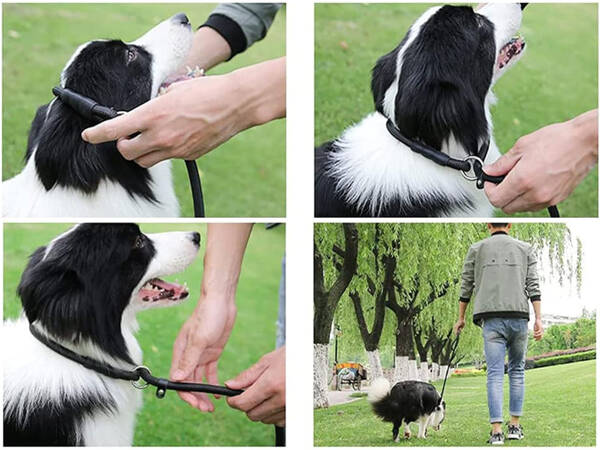 Laisse comportementale pour chiens collier à corde